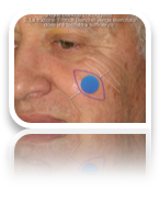 collage image title